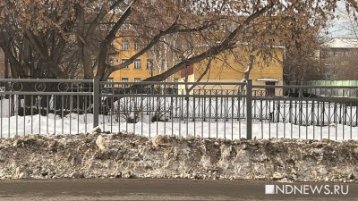 Екатеринбург обошел Москву по качеству уборки снега (ФОТО)