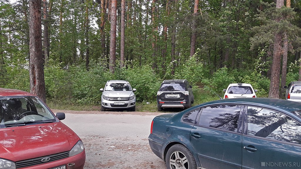 Челябинцы потребовали убрать парковку в парке Гагарина, превратив это место в газон