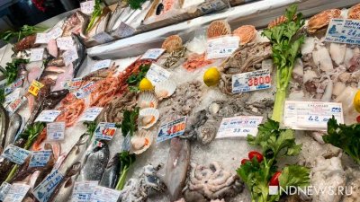 В Японии моллюсков из КНДР продавали под видом российских
