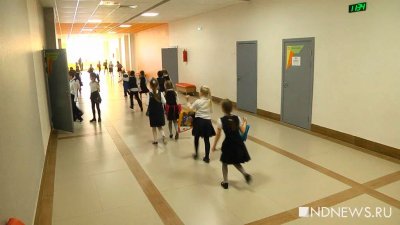 В российских школах появятся «ящики доверия» для обращений к психологу