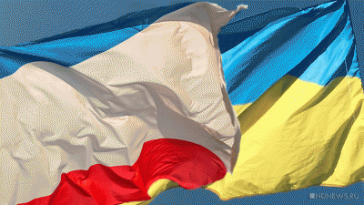 Новоиспеченного генпрокурора Украины уже заподозрили в измене