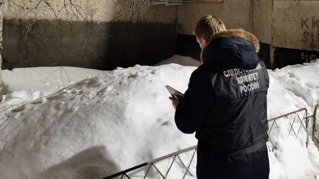 Подростка убило в Подмосковье упавшим с крыши снегом