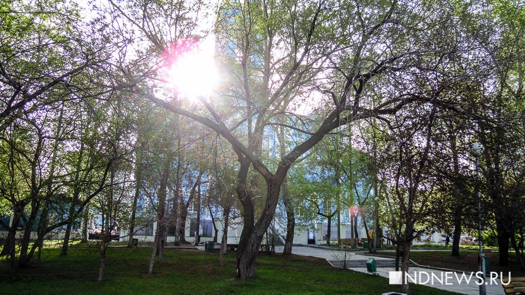 Четыре парка Екатеринбурга защитят от застройки