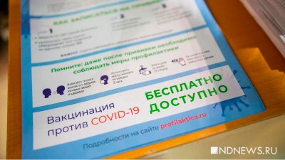 В Петербурге задержали медиков, подделавших 1500 сертификатов о вакцинации