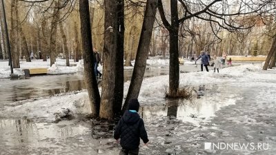 Дендропарки Екатеринбурга будут закрыты для посетителей