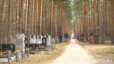 Кладбища Екатеринбурге не успеют обработать от клещей до Радоницы