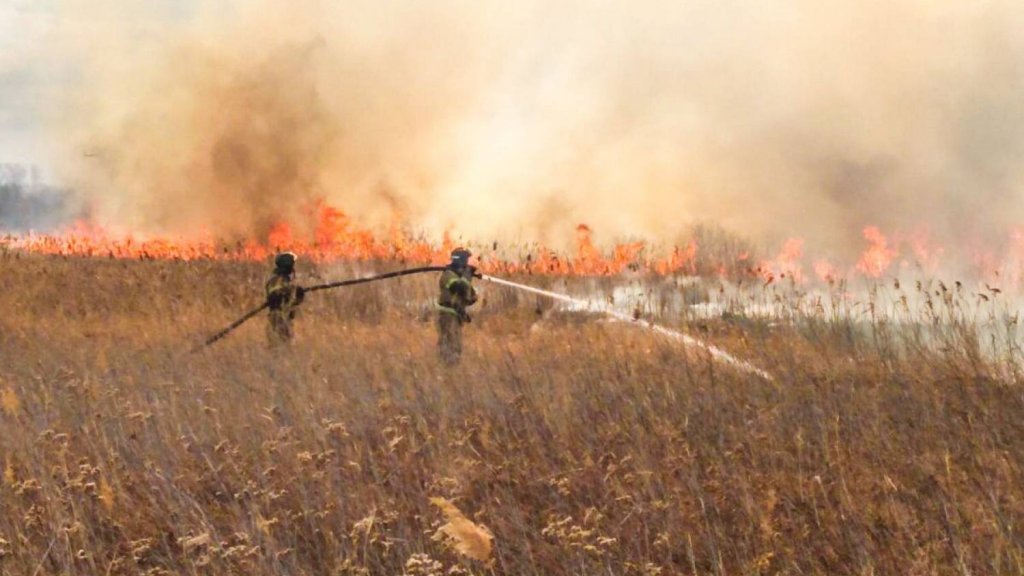В Кургане нашли виновников двух крупных ландшафтных пожаров