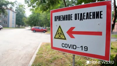 В Петербурге резко возросло количество госпитализаций с COVID-19