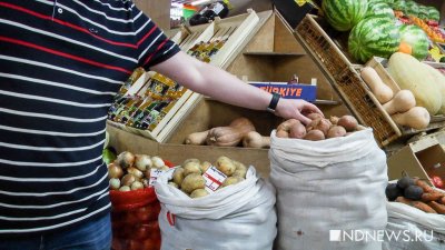 Экономист: России не грозит голод без импортных продуктов