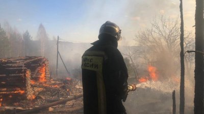 В МЧС назвали причину крупного пожара в СНТ «Уралочка»