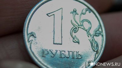 Госдума поддержала введение в России цифрового рубля
