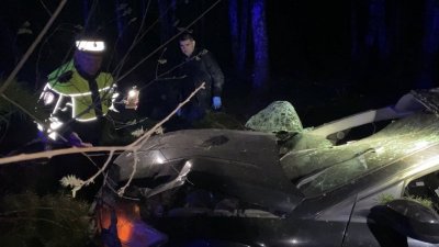 Житель Ирбита разбился, врезавшись на машине в дерево