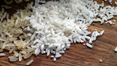 России грозит дефицит риса из-за сломанной дамбы