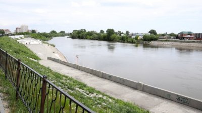 Губернатор Шумков рассказал о проблемах с расчисткой реки Тобол