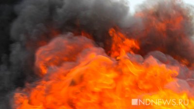 В Греции четыре человека погибли и пострадали в лесных пожарах