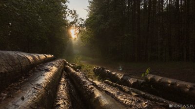 Власти Челябинска не собираются останавливать стройку в лесу на Тополинке