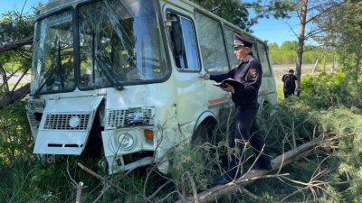 Автобус с рабочими слетел с дороги и врезался в дерево (ФОТО)