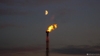 СМИ: Саудовская Аравия, Россия и ОПЕК+ собираются сократить добычу нефти