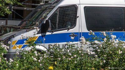 В Вене полуголый украинец напал на полицейских