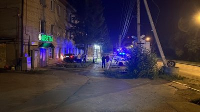 На Елизавете BMW влетел в дерево: погиб пассажир