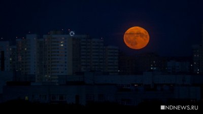 Екатеринбуржцы делятся в соцсетях снимками «кровавой» Луны (ФОТО)