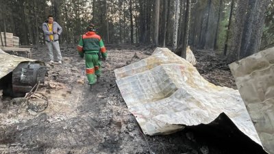 В лесу Ямала нашли два трупа после тушения лесного пожара (ФОТО)