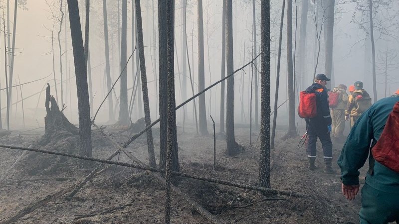 Губернатор Комарова отменила режим ЧС в лесах Югры