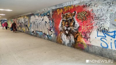 В Свердловской области увеличат штраф за незаконные художества на стенах