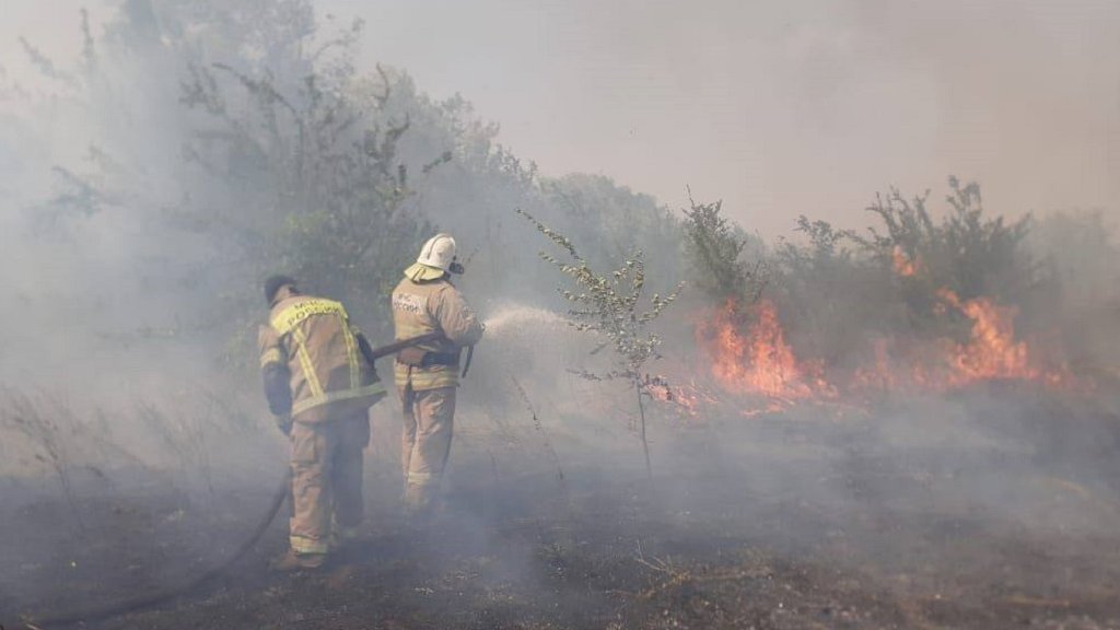 Лесной пожар повредил 34 дома под Ростовом-на-Дону
