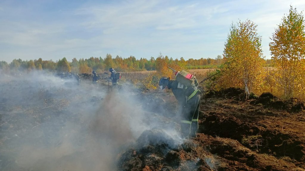 На тушение тлеющих торфяников направлено уже 130 пожарных и 17 спецмашин (ФОТО)