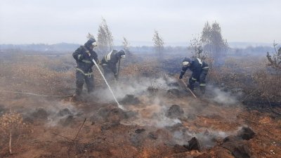 В Сысертском округе введен режим ЧС из-за торфяного пожара (ФОТО)