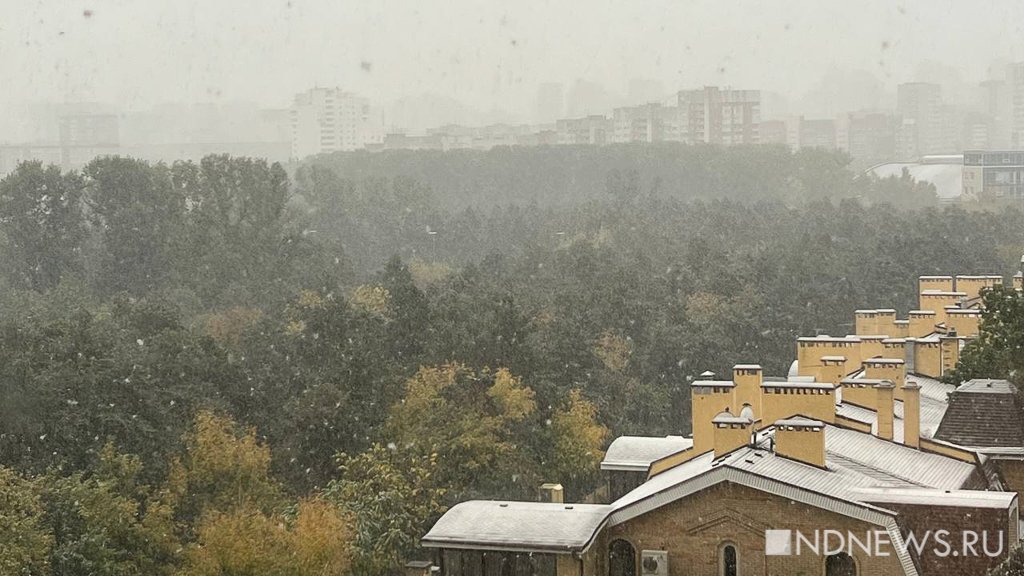 В Екатеринбурге выпал первый снег (ФОТО)