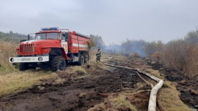 Под Екатеринбургом тушат два торфяных пожара