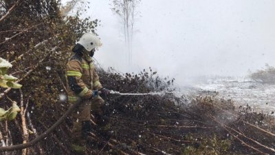 Спасатели продолжают тушить торфяник у деревни Большое Седельниково даже под снегом (ФОТО)
