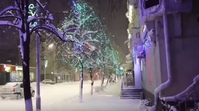 Губернатор Шумков отказался от покупки новогодних украшений для Зауралья