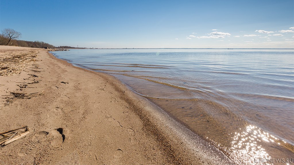 В Крыму решили не перезаключать договоры на благоустройство пляжей