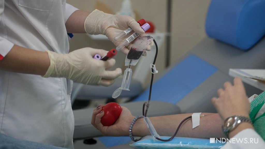Служба крови приостановила прием доноров-новичков