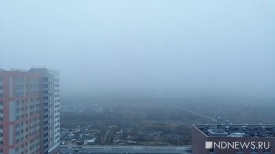 Опустившийся на Екатеринбург туман не повлиял на работу Кольцово (ФОТО)