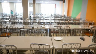 В школьной столовой Ноябрьска отравились 26 учеников