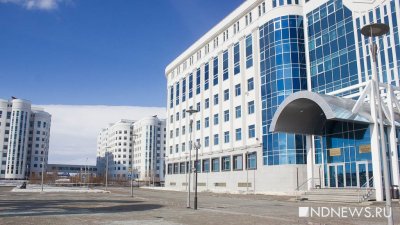 Ямальские чиновники получат оплату в двойном размере за командировки на Донбасс, Херсон и Запорожье