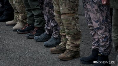 СМИ: Зеленский призвал Запад отправить домой способных воевать украинцев