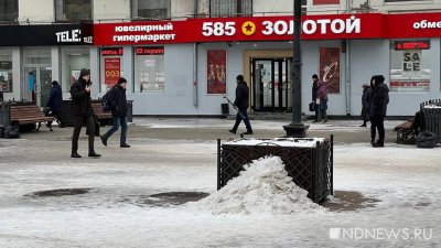 Депутат предложил Екатеринбургу сэкономить на уборке снега оригинальным способом