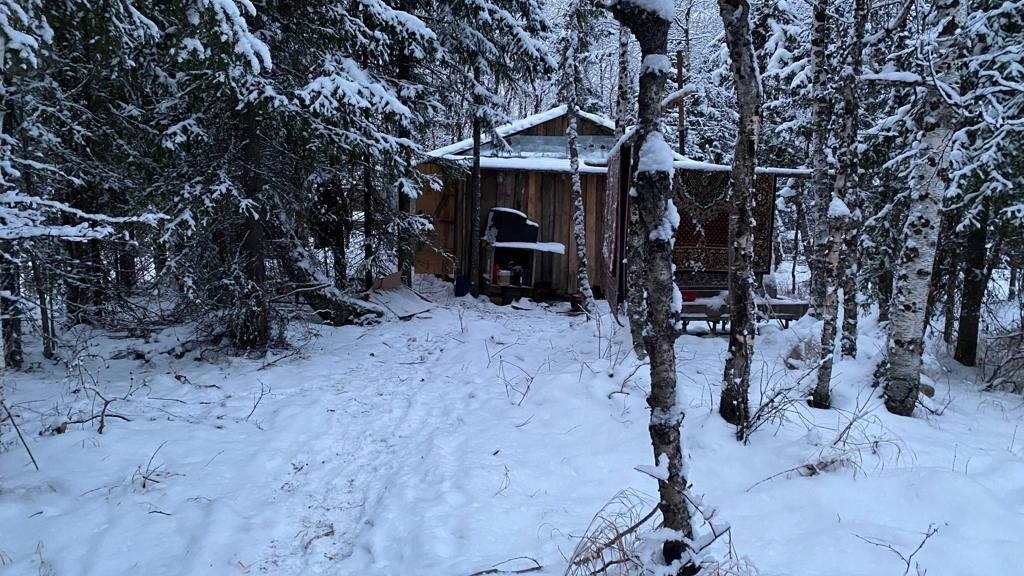 В лесной избушке на Ямале в голову застрелен молодой человек (ФОТО)