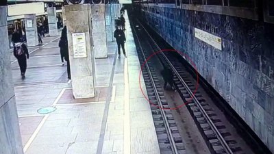 Гость столицы, спрыгнув на рельсы метро, стал фигурантом дела о краже телефона у ребенка