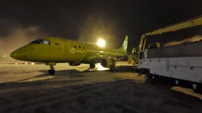 Пассажирский самолет с дырой в хвосте сел в аэропорту Новосибирска