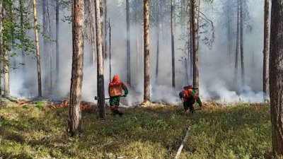 Впервые за 20 лет: замгубернатора ЯНАО рассказал, почему было тяжело тушить лесные пожары