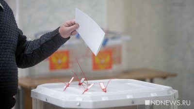 Выборы-2024: в Свердловской области состоится 5 избирательных кампаний