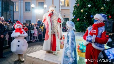 В Новосибирске судимым запретили работать Дедом Морозом и Снегурочкой