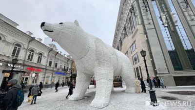 В центре Екатеринбурга появился гигантский медведь (ФОТО)