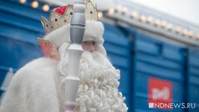 В Екатеринбурге Дед Мороз подорожал почти на 20%